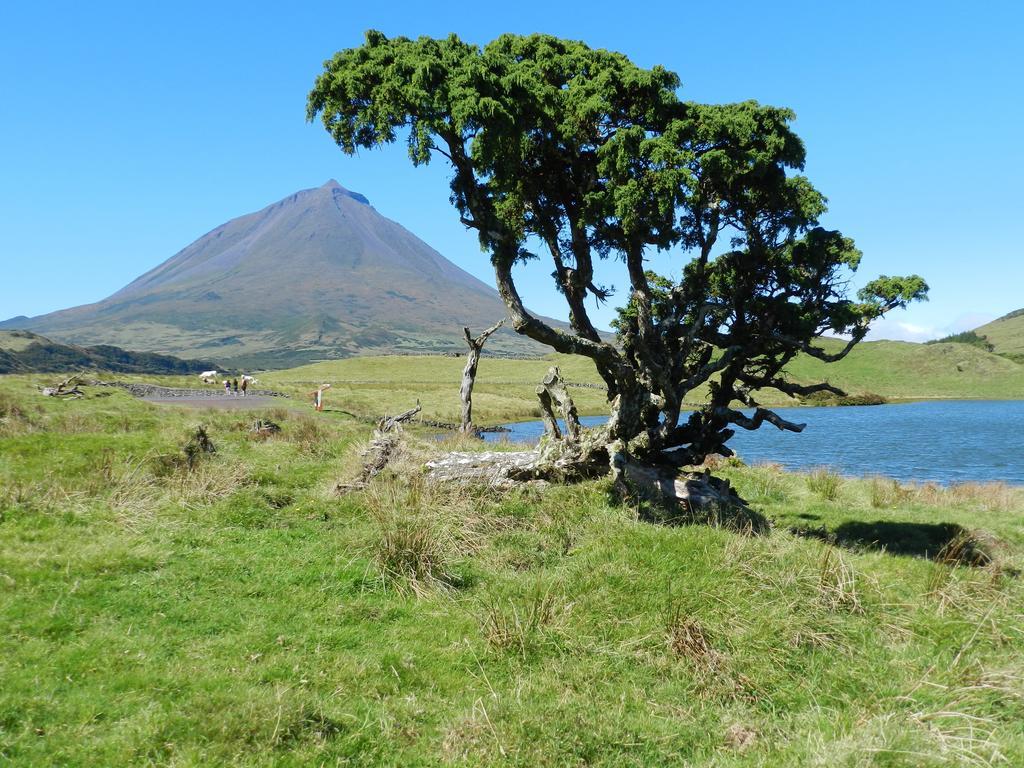 Вилла Adega Velha Calheta de Nesquim Экстерьер фото